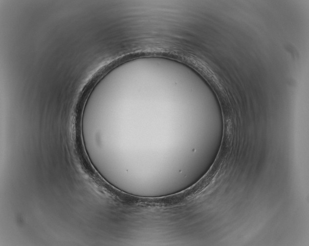 X0000111170676200907221028