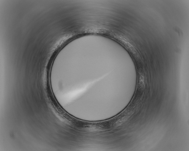 X0000111170678200907221028