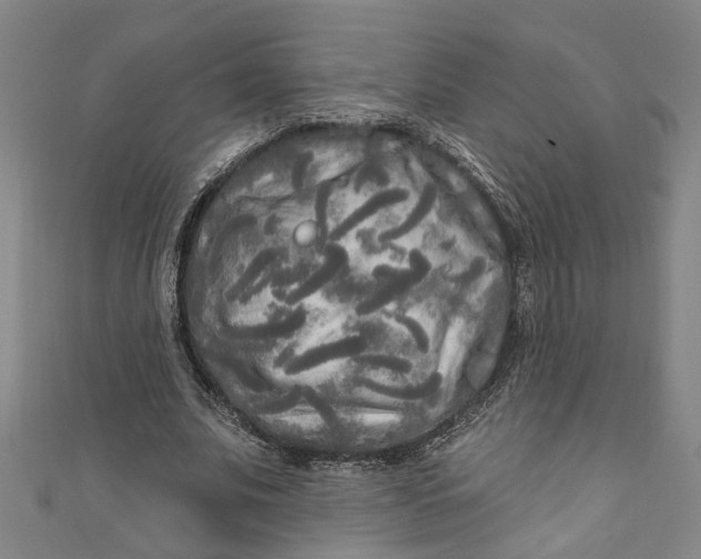 X0000111170679200907221028