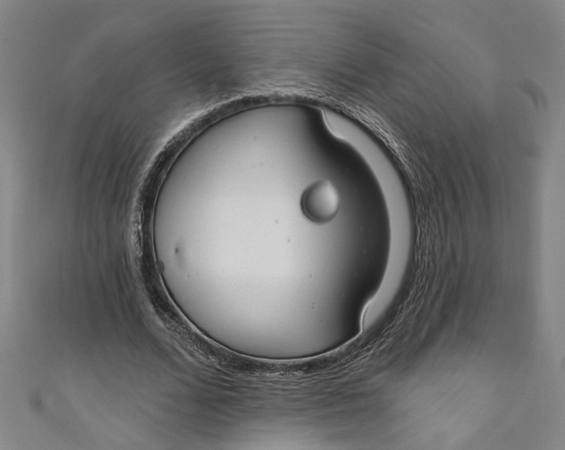 X0000111170680200907221028