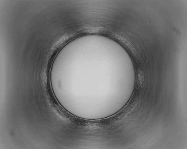 X0000111170682200907221028