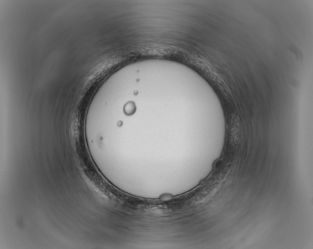 X0000111170683200907221028