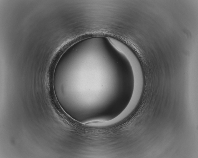 X0000111170684200907221028