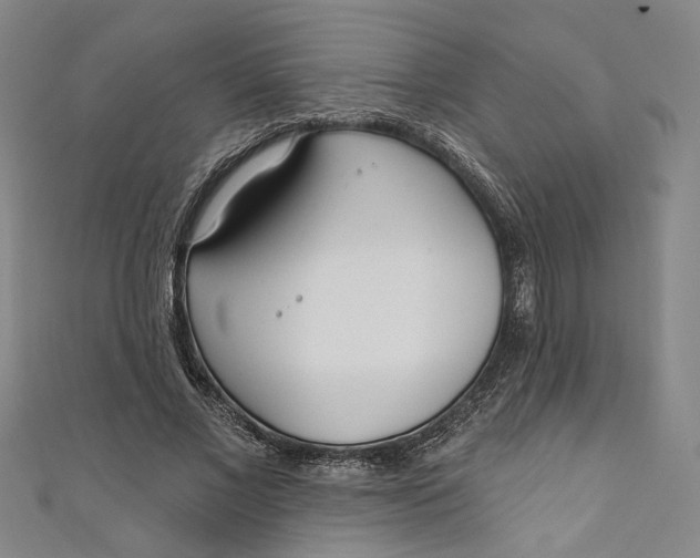 X0000111170685200907221028