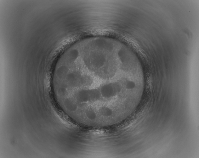 X0000111170687200907221028