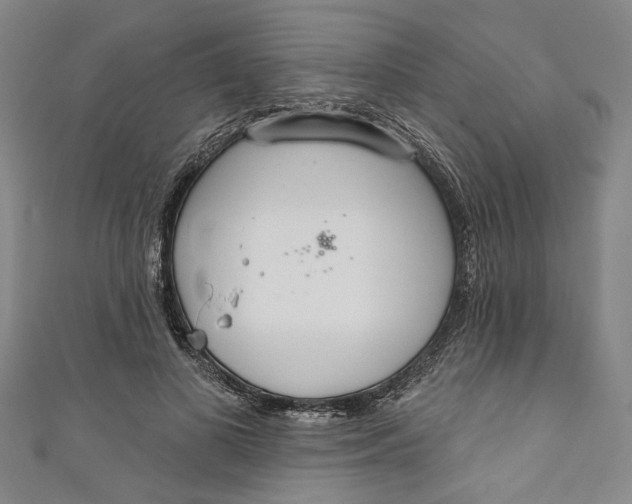 X0000111170693200907221028