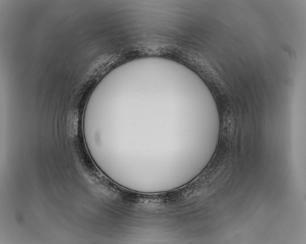 X0000111170694200907221028