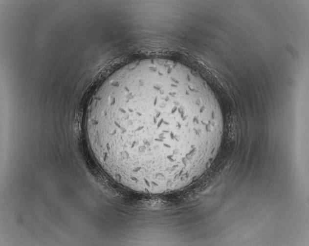 X0000111170695200907221028