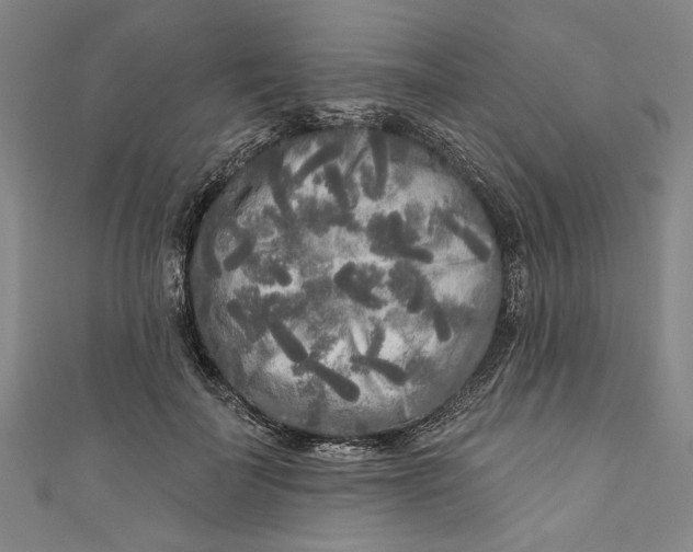 X0000111170699200907221028