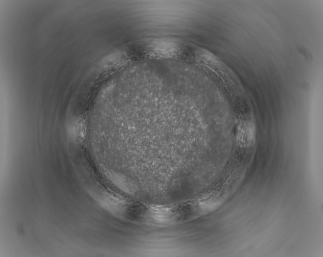 X0000111170701200907221028