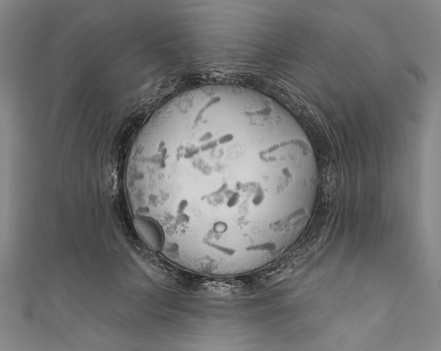 X0000111170703200907221028