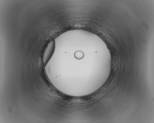 X0000111170704200907221028