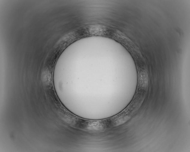 X0000111170705200907221028