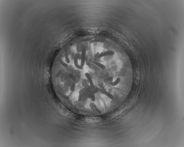 X0000111170707200907221028