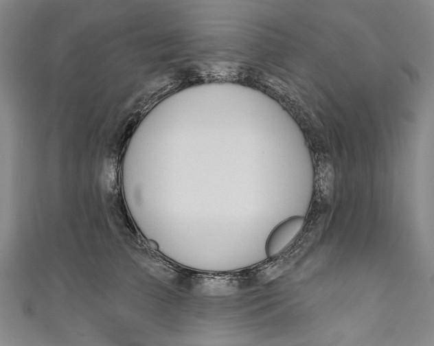 X0000111170709200907221028