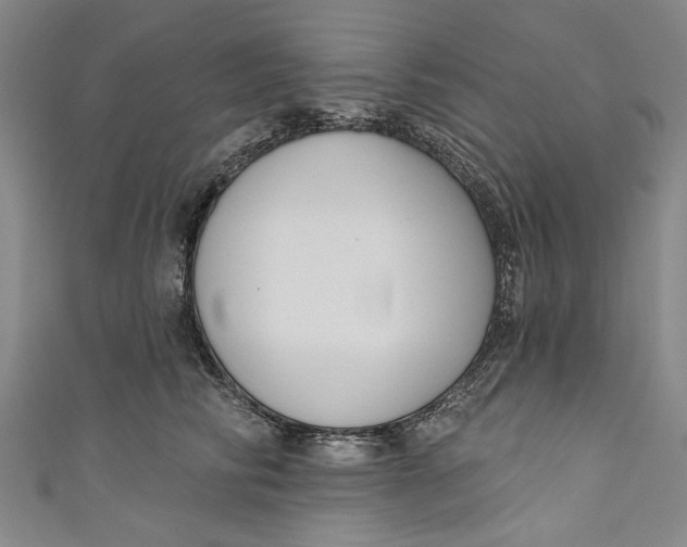 X0000111170710200907221028