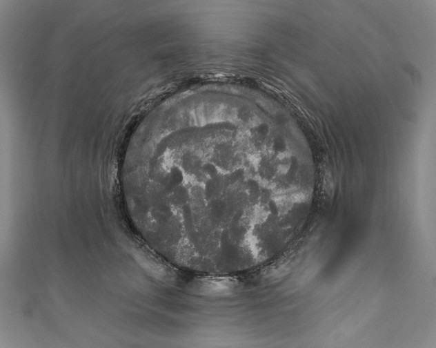 X0000111170711200907221028