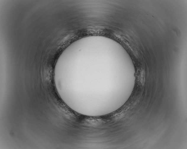 X0000111170712200907221028