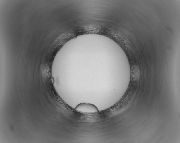 X0000111170713200907221028