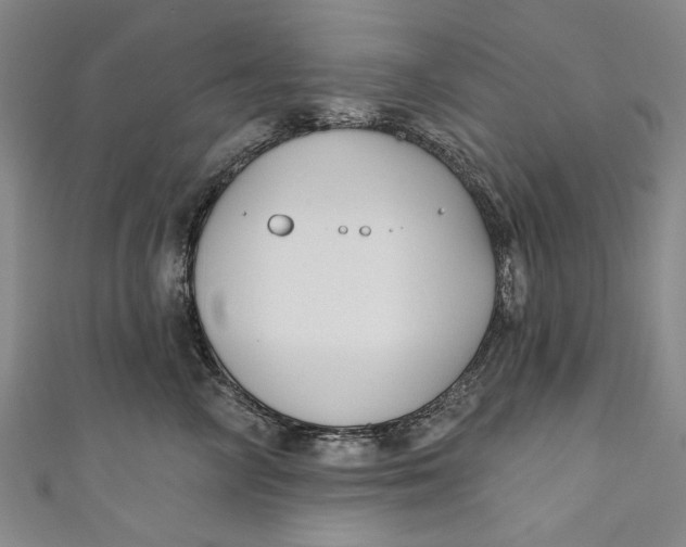 X0000111170714200907221028