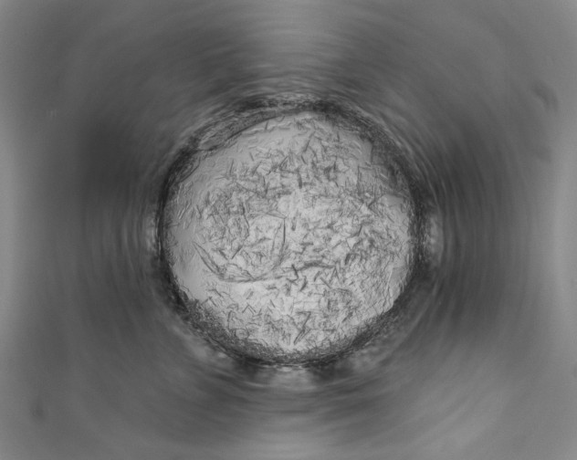 X0000111170715200907221028