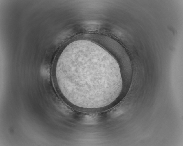 X0000111170720200907221028