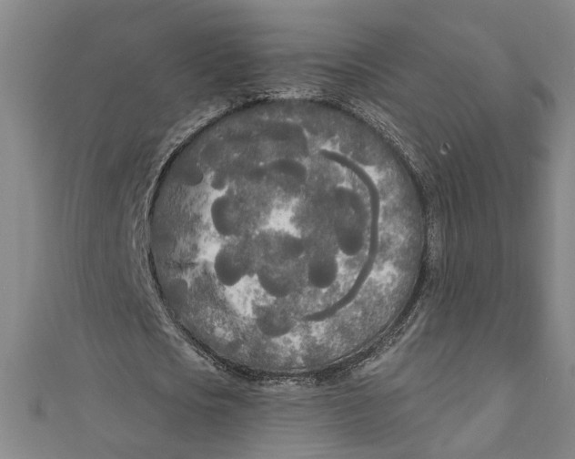 X0000111170721200907221027