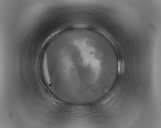 X0000111170723200907221027