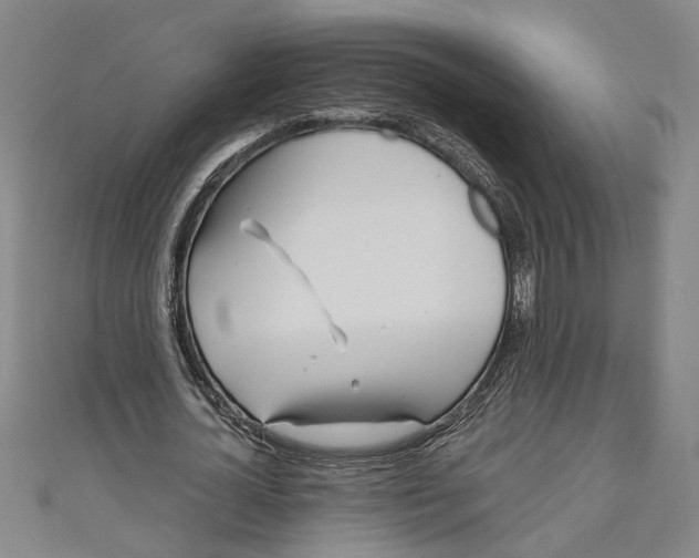 X0000111170724200907221027