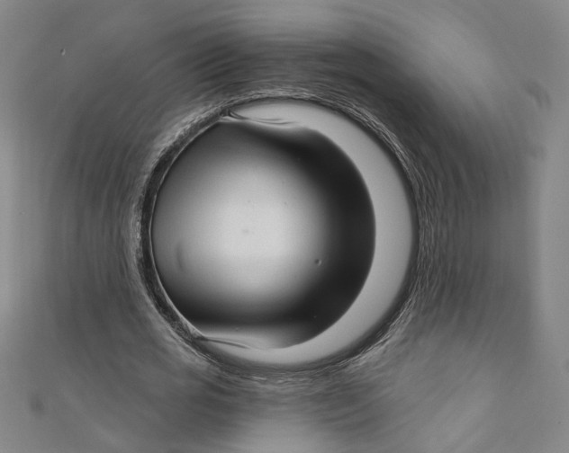 X0000111170725200907221027