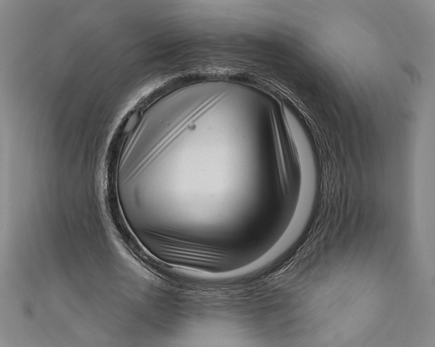 X0000111170726200907221027