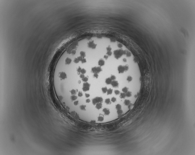 X0000111170727200907221027