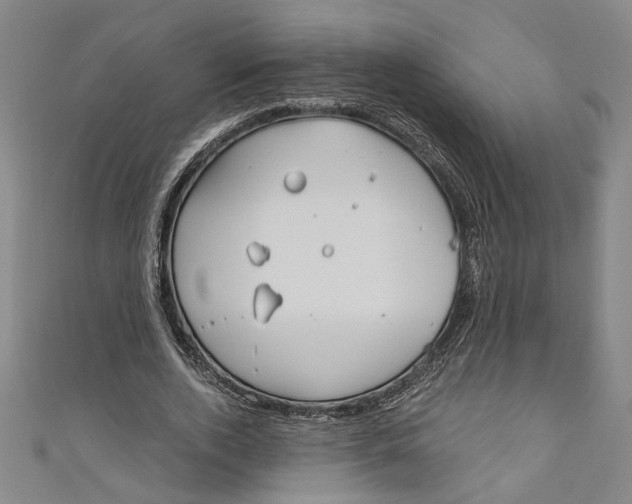 X0000111170728200907221027