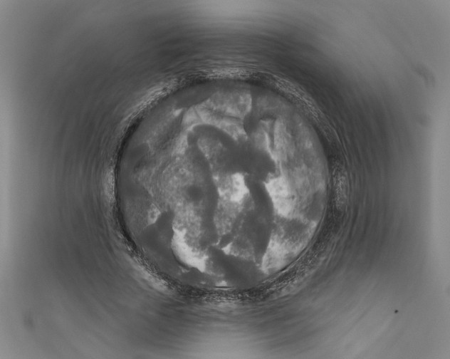 X0000111170729200907221027