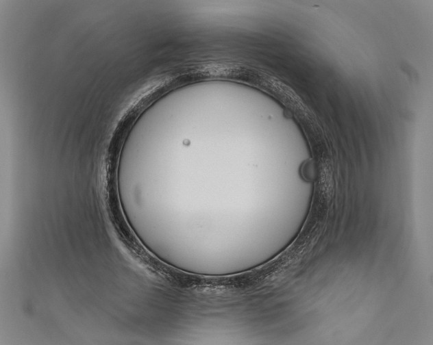 X0000111170730200907221027