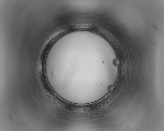 X0000111170731200907221027