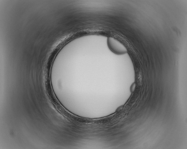 X0000111170732200907221027