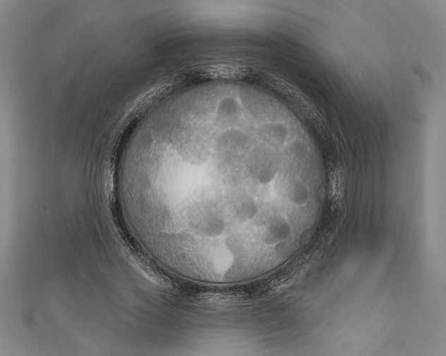 X0000111170733200907221027