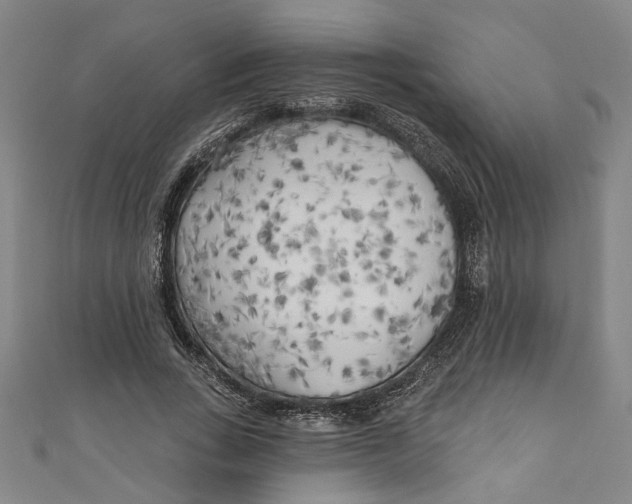 X0000111170735200907221027