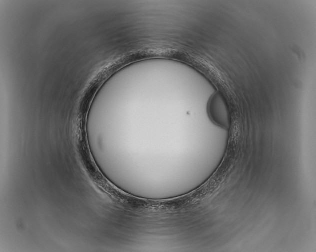 X0000111170736200907221027