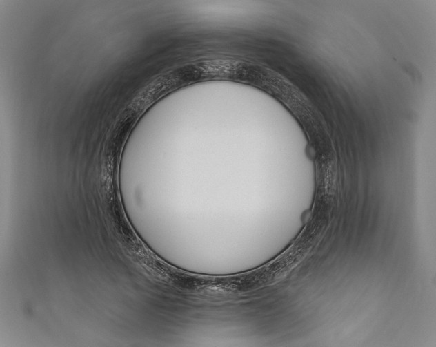 X0000111170737200907221027