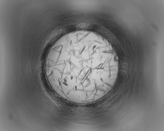 X0000111170738200907221027