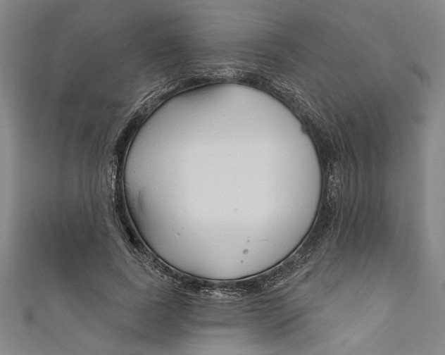 X0000111170739200907221027