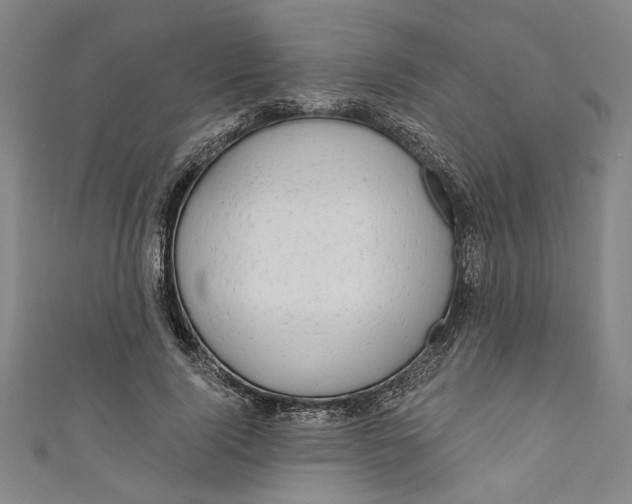 X0000111170740200907221027