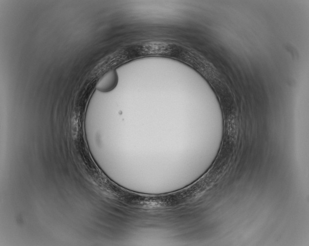 X0000111170741200907221027