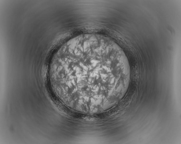 X0000111170742200907221027