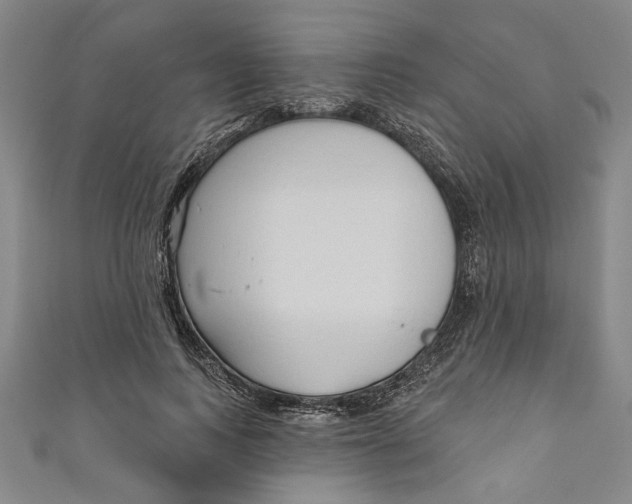 X0000111170743200907221027