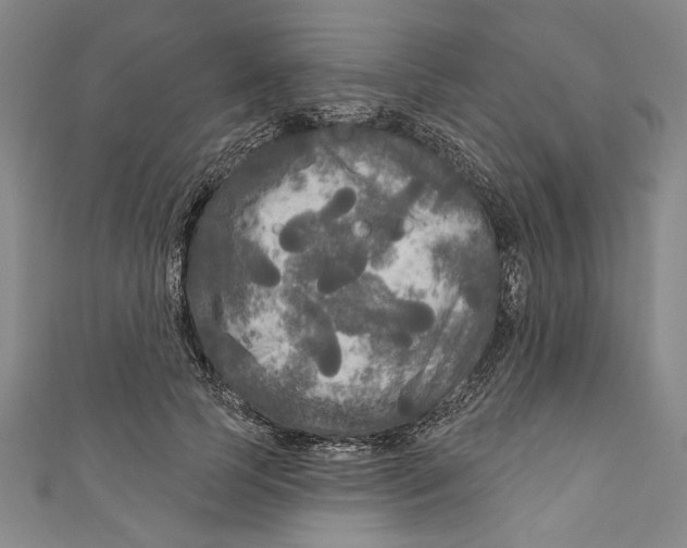 X0000111170745200907221027