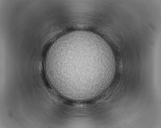 X0000111170746200907221027