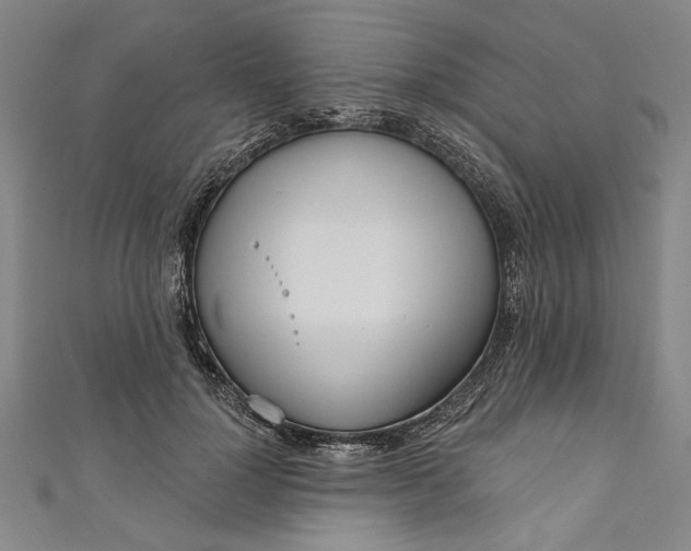 X0000111170748200907221027